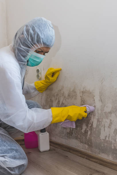 Best Crawl Space Mold Remediation  in Girard, OH
