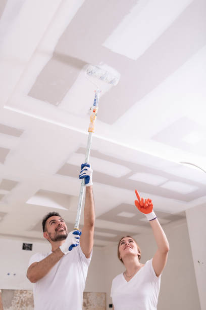 Best Industrial Mold Remediation  in Girard, OH