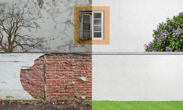 Best Mold Documentation for Insurance Claims  in Girard, OH