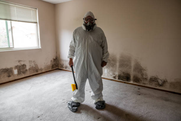 Best Post-Construction Mold Inspection  in Girard, OH