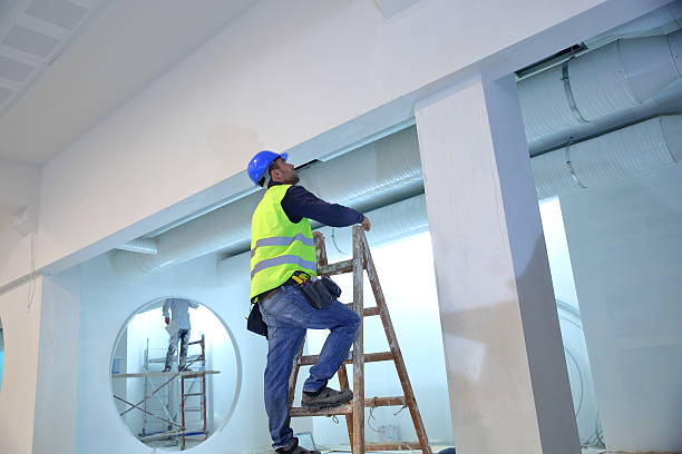 Best Mold Damage Restoration  in Girard, OH